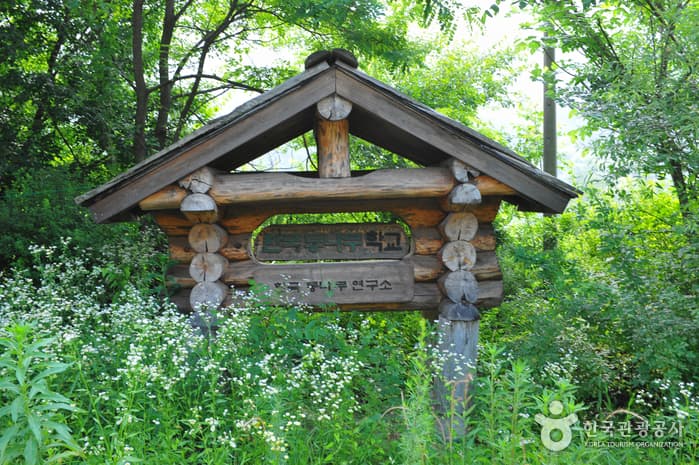 한국통나무학교
