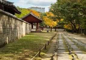Jongmyo Shrine [UNESCO World Heritage] (종묘 [유네스코 세계유산])