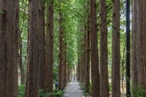 서초문화예술공원