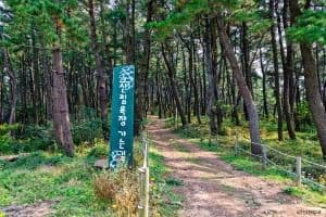 승봉산림욕장