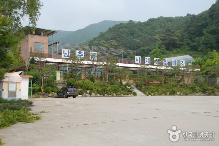 낭추골현장체험학습원 눈썰매장