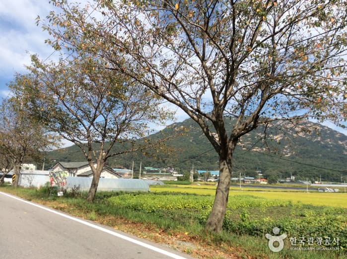 용봉산체험 정보화마을
