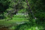 Vanastha (와나스타)