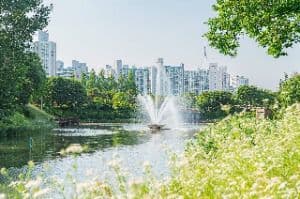 장자호수공원