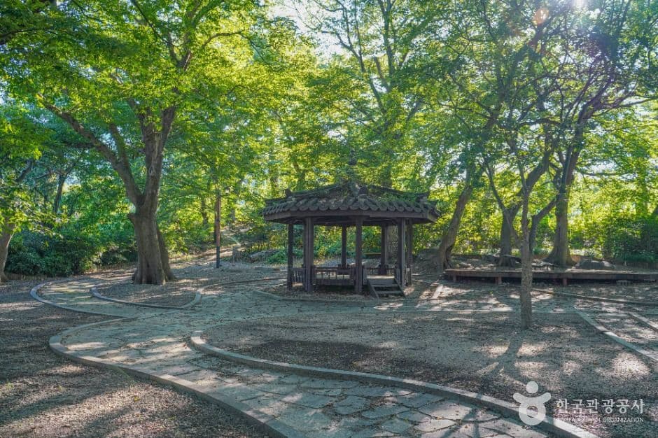 용전숲
