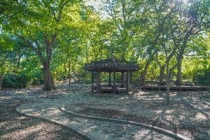 용전숲
