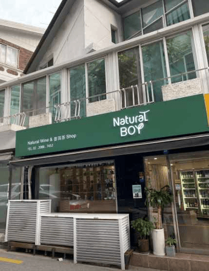 Natural Boy [Tax Refund Shop](내추럴보이)