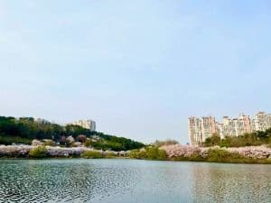 선암호수공원