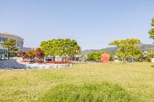 을숙도 공원