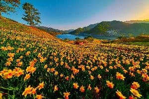 지리산치즈랜드