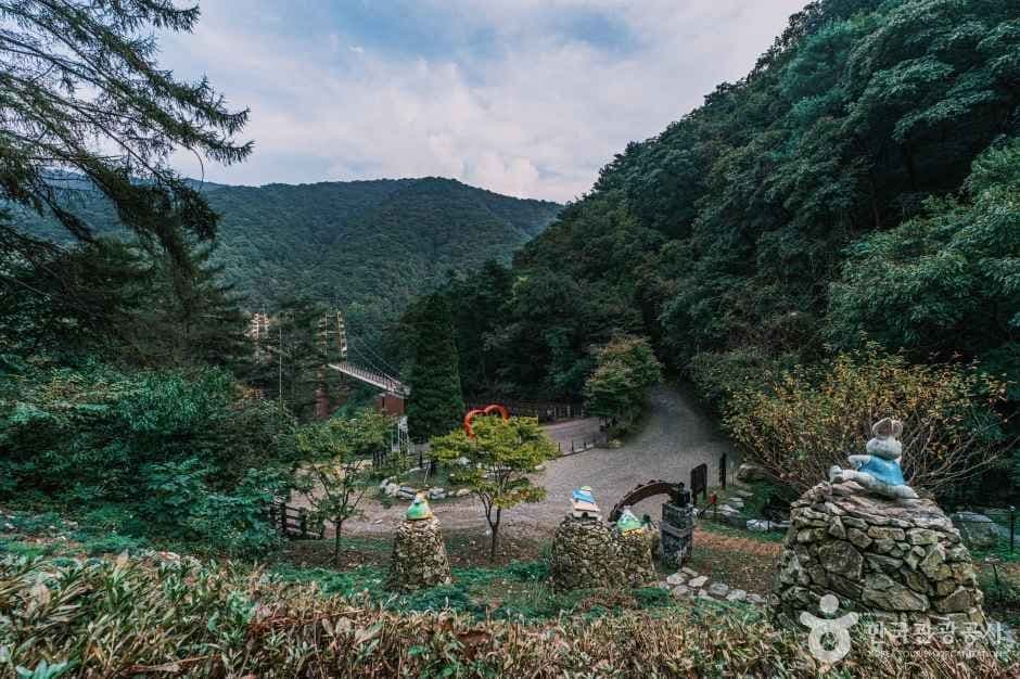 좌구산 자연휴양림