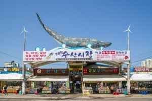 주문진수산시장