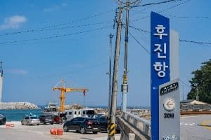후진항
