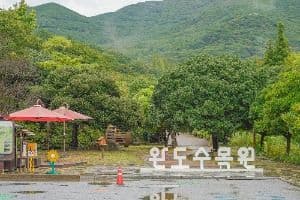 완도수목원