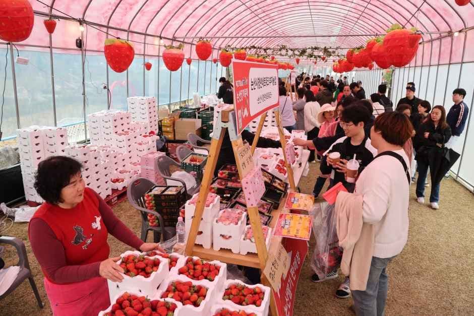 논산딸기축제