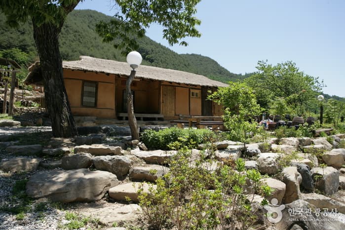 Photo 13