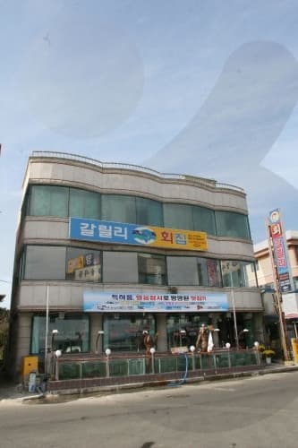 갈릴리회집