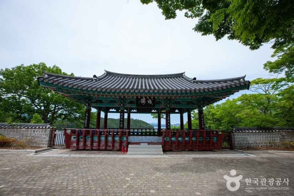 Photo 8