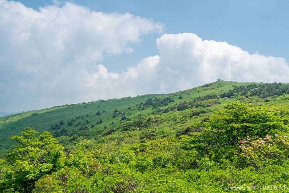 소백산국립공원(경북)