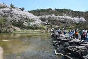 생거진천 농다리축제