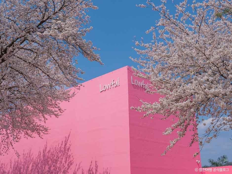 로우풀