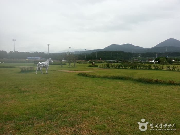 말 테마파크 골프장 (렛츠런파크 제주)