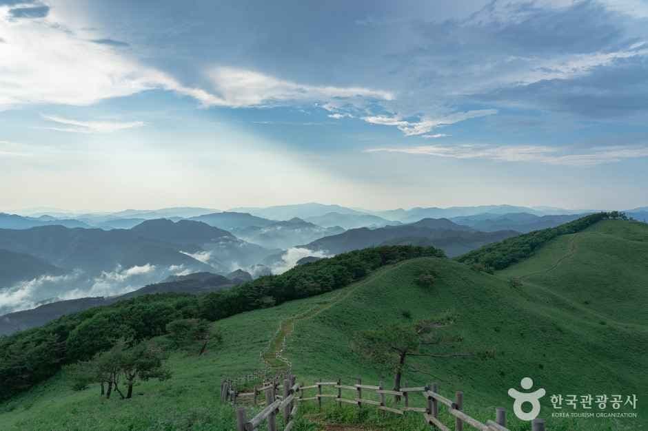 민둥산