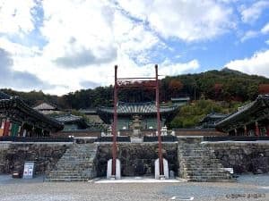 심원사(성주)