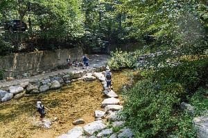 신림계곡