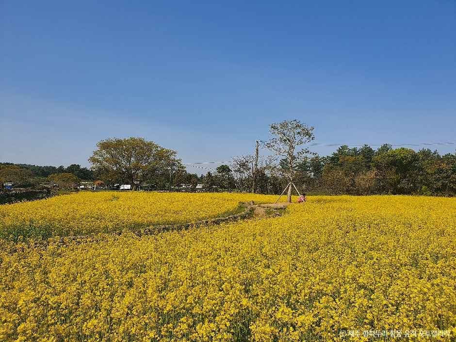 제주 항파두리 항몽 유적