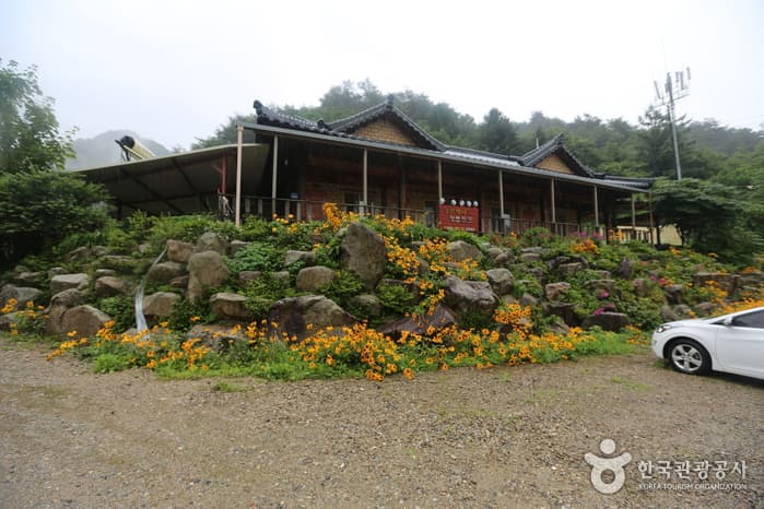 강변에서 황토콘도