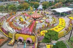 대한민국 국향대전