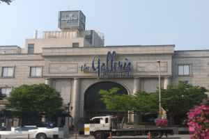 Alexander McQueen Women Galleria Department Store Luxury Hall EAST Branch [Tax Refund Shop](알렉산더 맥퀸 여성 갤러리아백화점 명품관 EAST점)