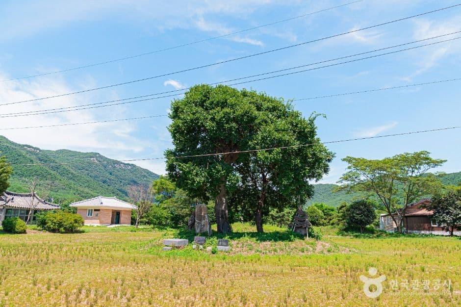 우동리당산