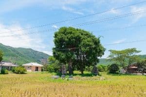 우동리당산