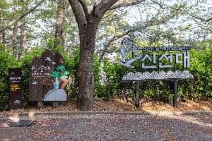 신선대(부산)