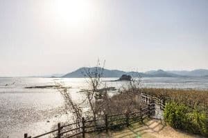 와온공원