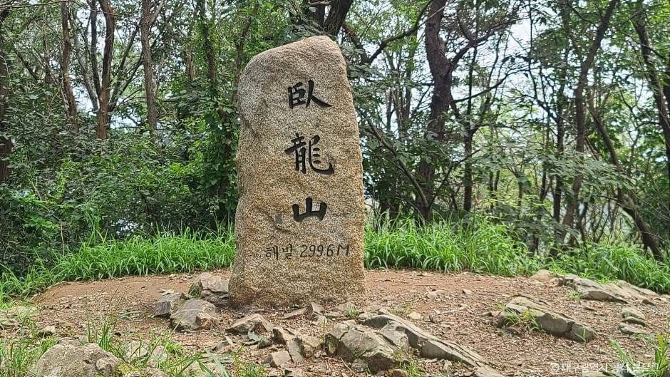 와룡산(대구)
