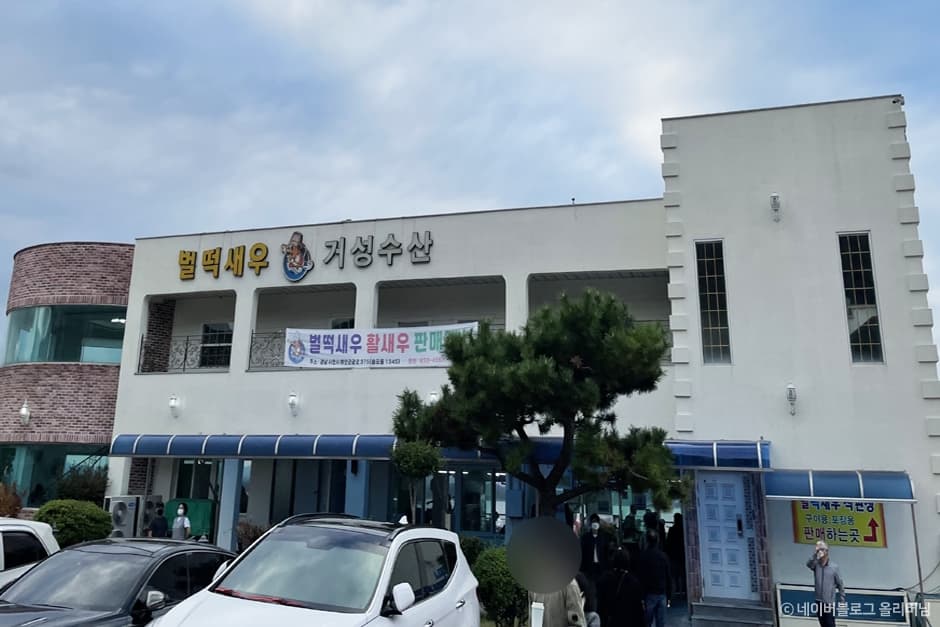 벌떡새우