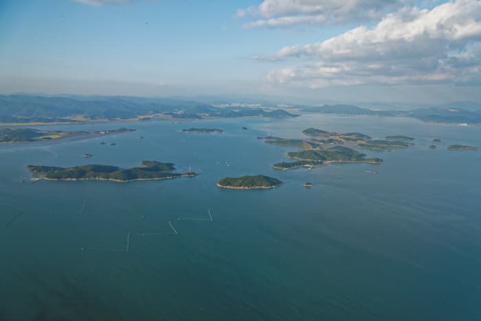 장도