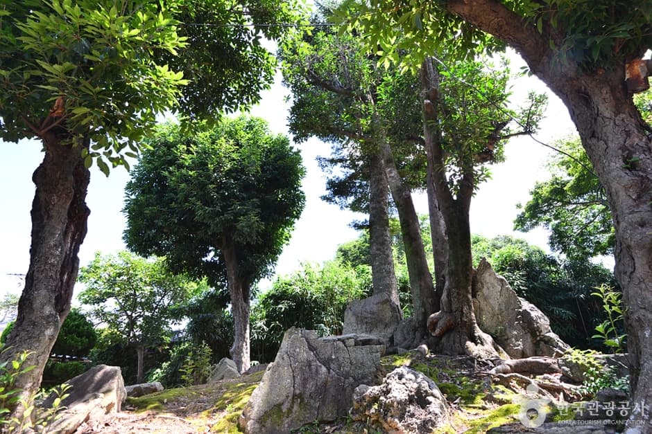 Photo 7