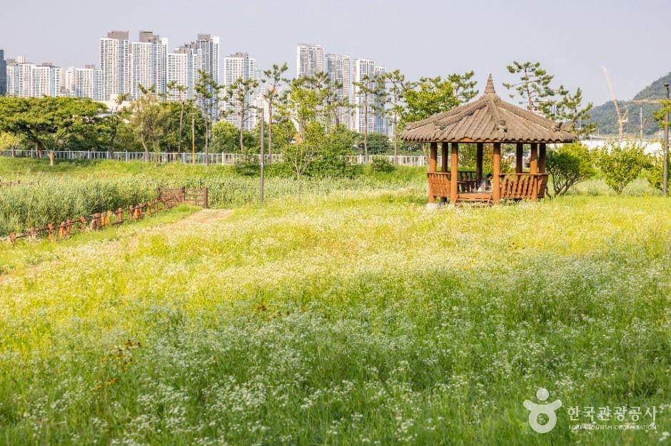 남항근린공원