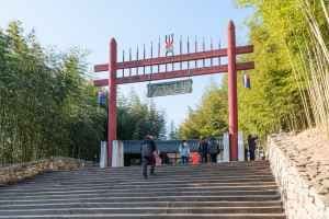 죽녹원