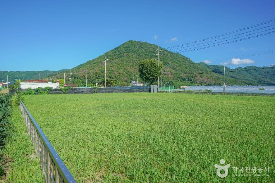 김해 예안리 고분군