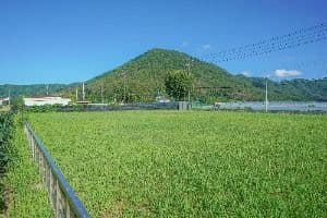 김해 예안리 고분군