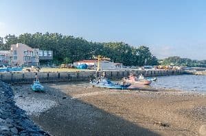 송석항