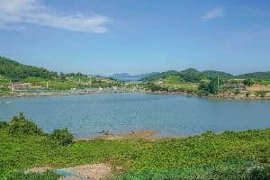 백일도