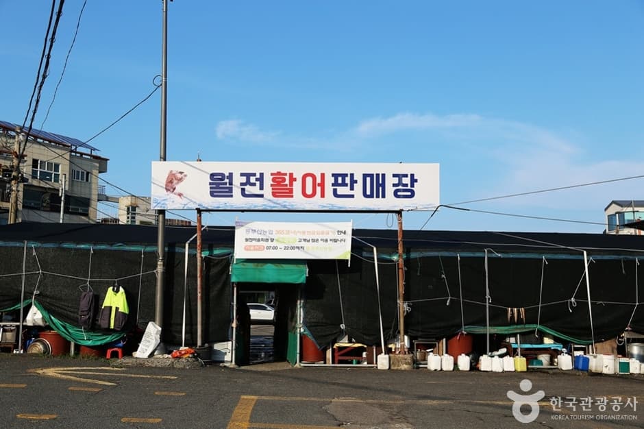월전 활어판매장