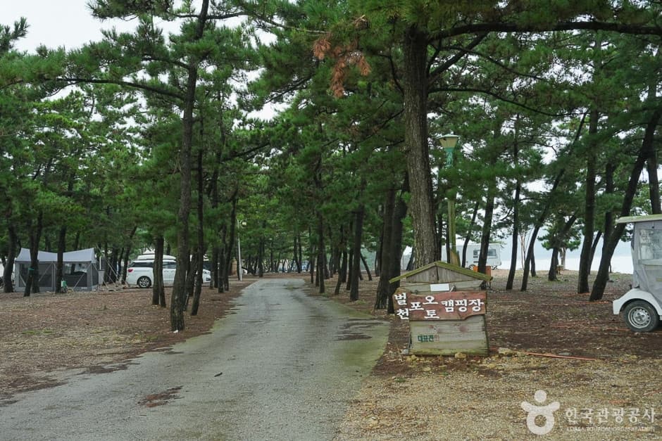 벌천포오토캠핑장