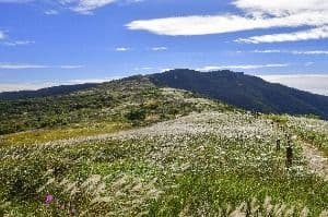 천성산